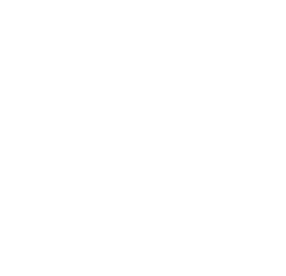 Groupage cargo  transportation